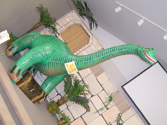 SA700517.JPG