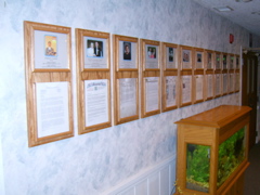 SA700555.JPG