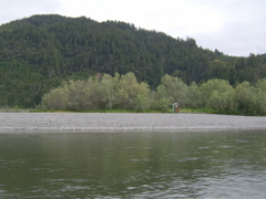 SA703187.JPG