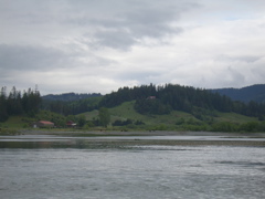 SA703154.JPG