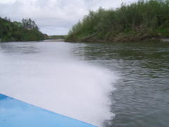 SA703158.JPG