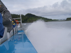 SA703159.JPG