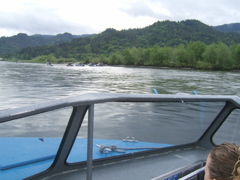 SA703164.JPG