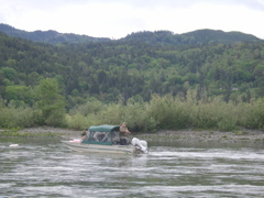 SA703171.JPG