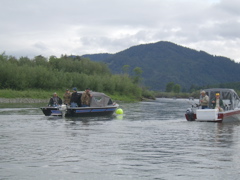 SA703172.JPG