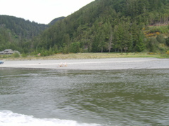 SA703189.JPG