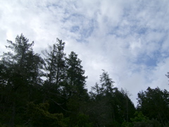 SA703193.JPG