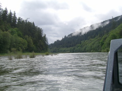 SA703199.JPG