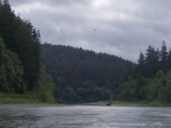 SA703204.JPG
