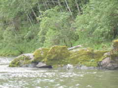 SA703215.JPG