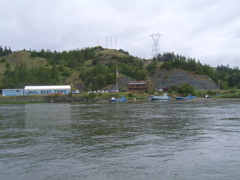 SA703150.JPG