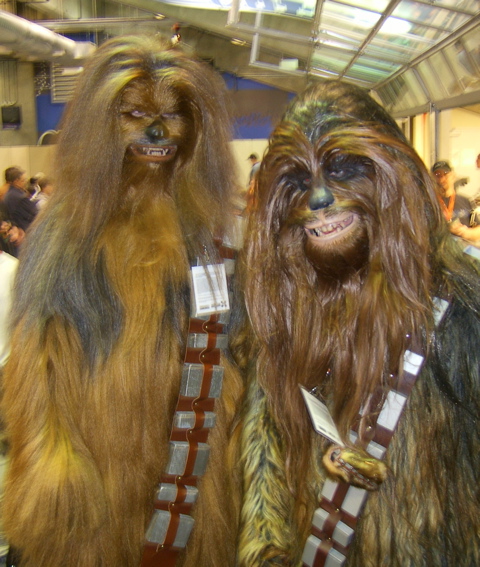 SA701026.JPG
