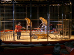 SA700440.JPG