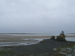SA702879.JPG
