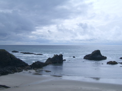SA702952.JPG
