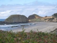 SA702954.JPG