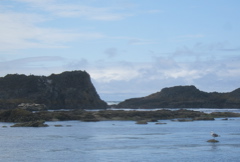SA702965.JPG