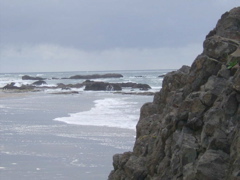 SA702993.JPG
