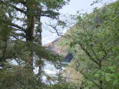 SA703036.JPG