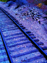 SA704855.JPG