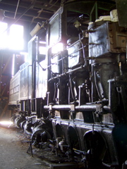SA704791.JPG