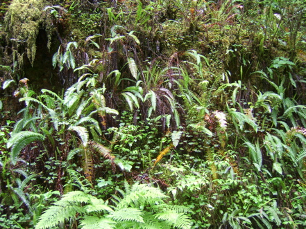 SA703458.JPG