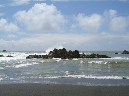 SA703565.JPG