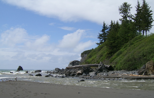 SA703570.JPG