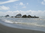 SA703587.JPG
