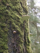 SA703434.JPG