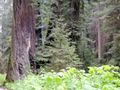 SA703437.JPG
