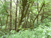SA703418.JPG