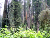 SA703440.JPG