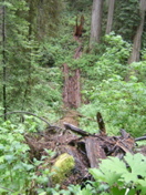 SA703443.JPG