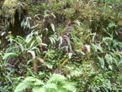 SA703458.JPG