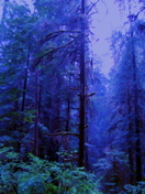 SA703469.JPG