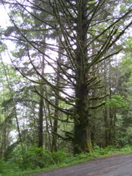 SA703420.JPG