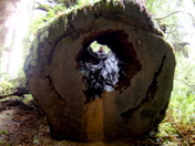 SA703482.JPG