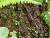SA703485.JPG