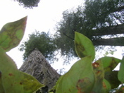 SA703491.JPG