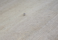 SA703499.JPG