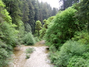 SA703516.JPG