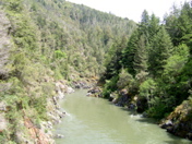 SA703531.JPG