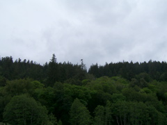 SA703378.JPG