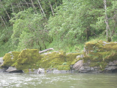 SA703216.JPG