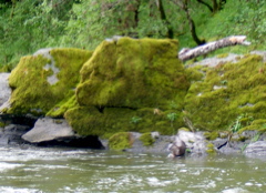 SA703218.JPG