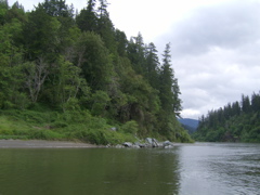 SA703236.JPG