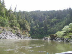 SA703237.JPG