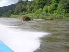 SA703262.JPG