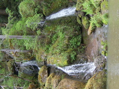 SA703287.JPG